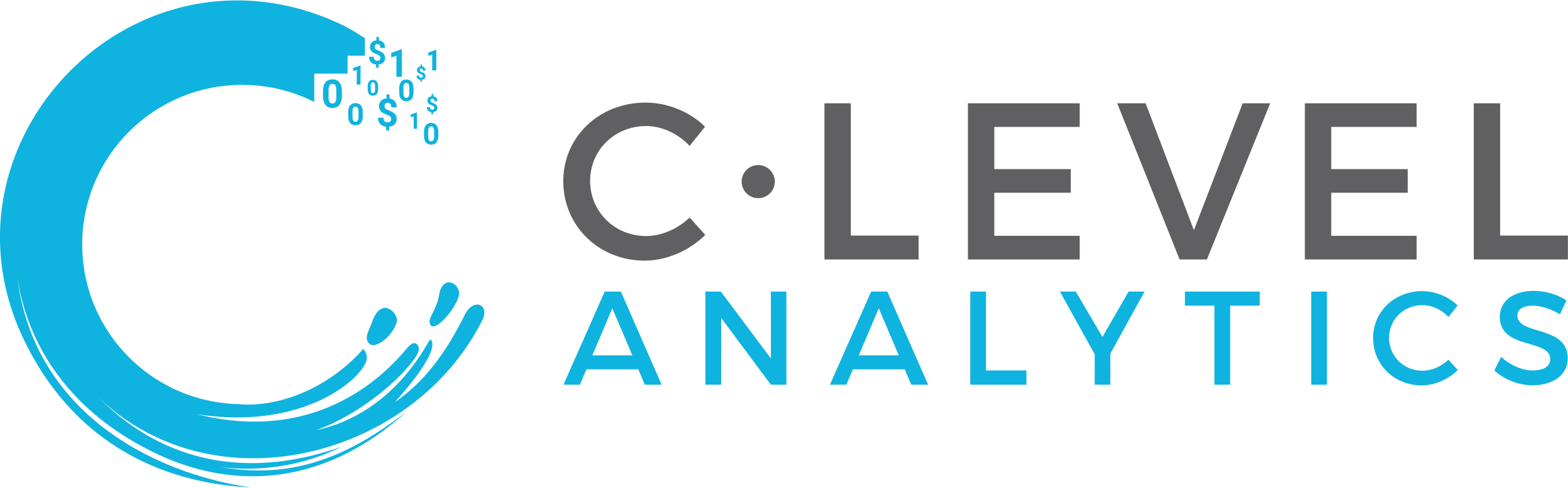 C Level Analytics Logo